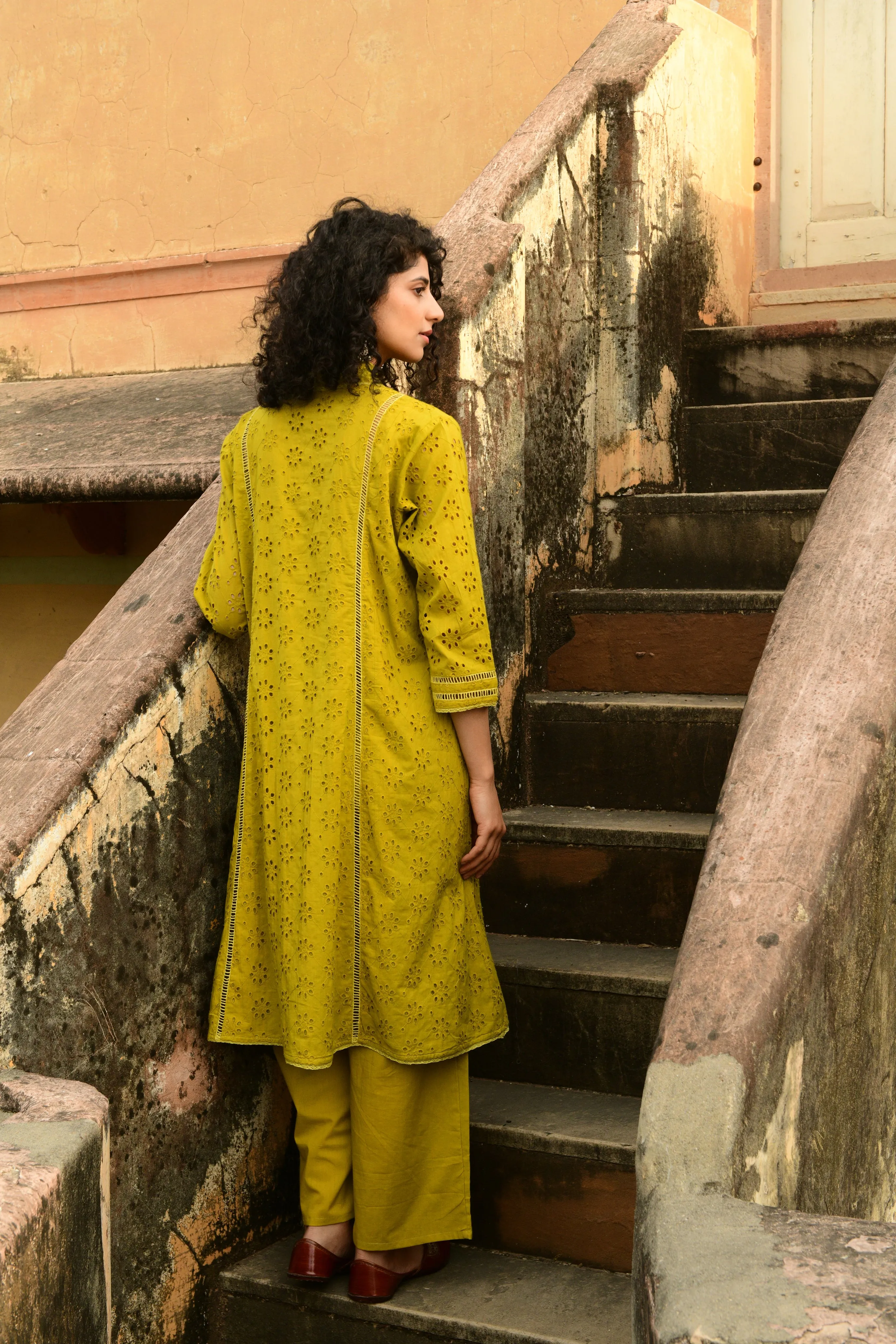 Aaravi Dyed Schiffli Mustard Yellow Suit Set