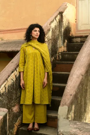 Aaravi Dyed Schiffli Mustard Yellow Suit Set