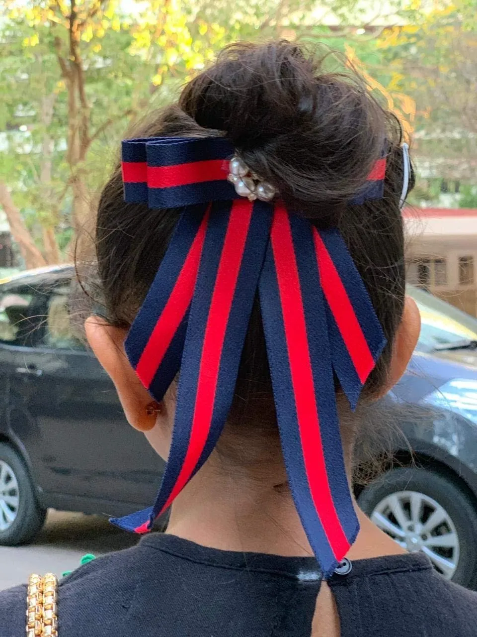 Blue and Red Stripes Two in One Hair Clip and Broach