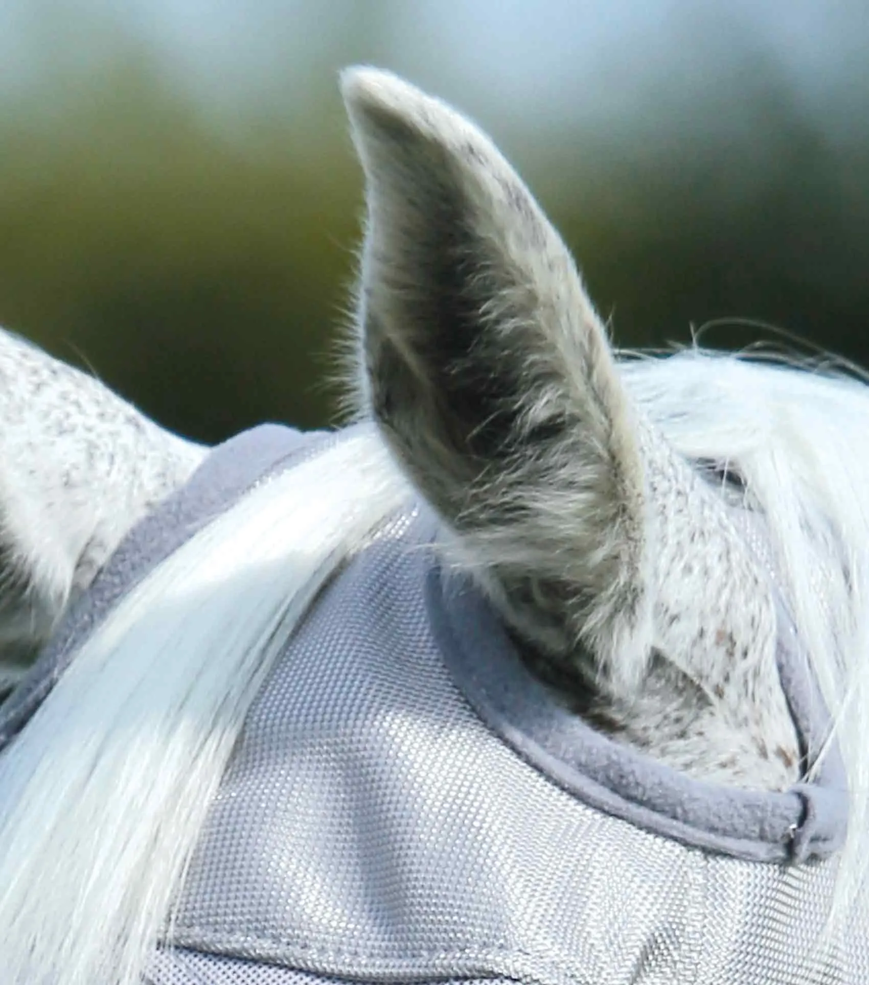 Buster Fly Mask Standard Silver