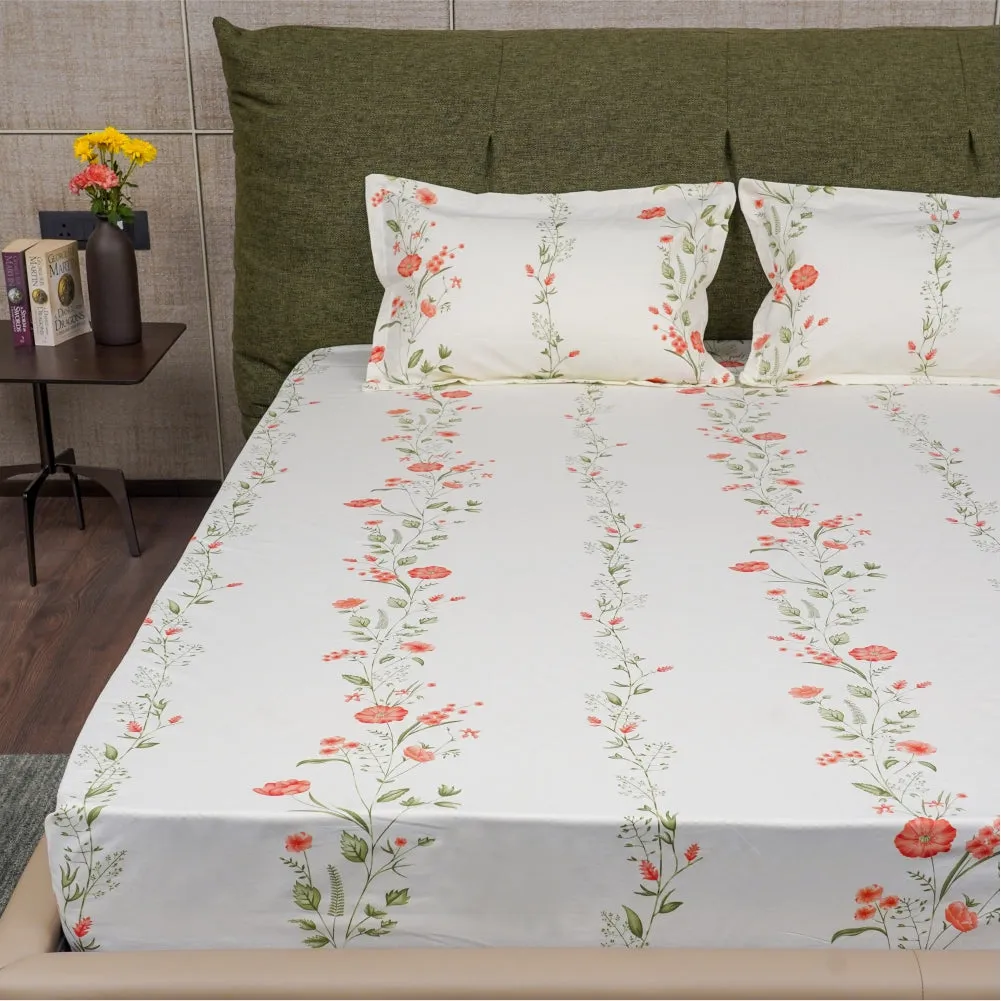 Fitted King Size Cotton Bedsheet - Veil Bloom- Peach