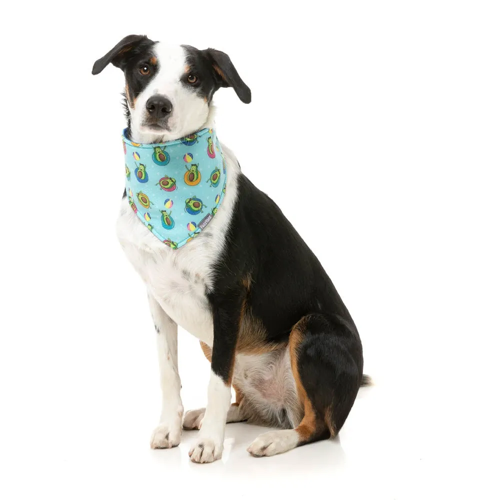 FuzzYard Cooling Bandana Avo Great Day Small to Medium***