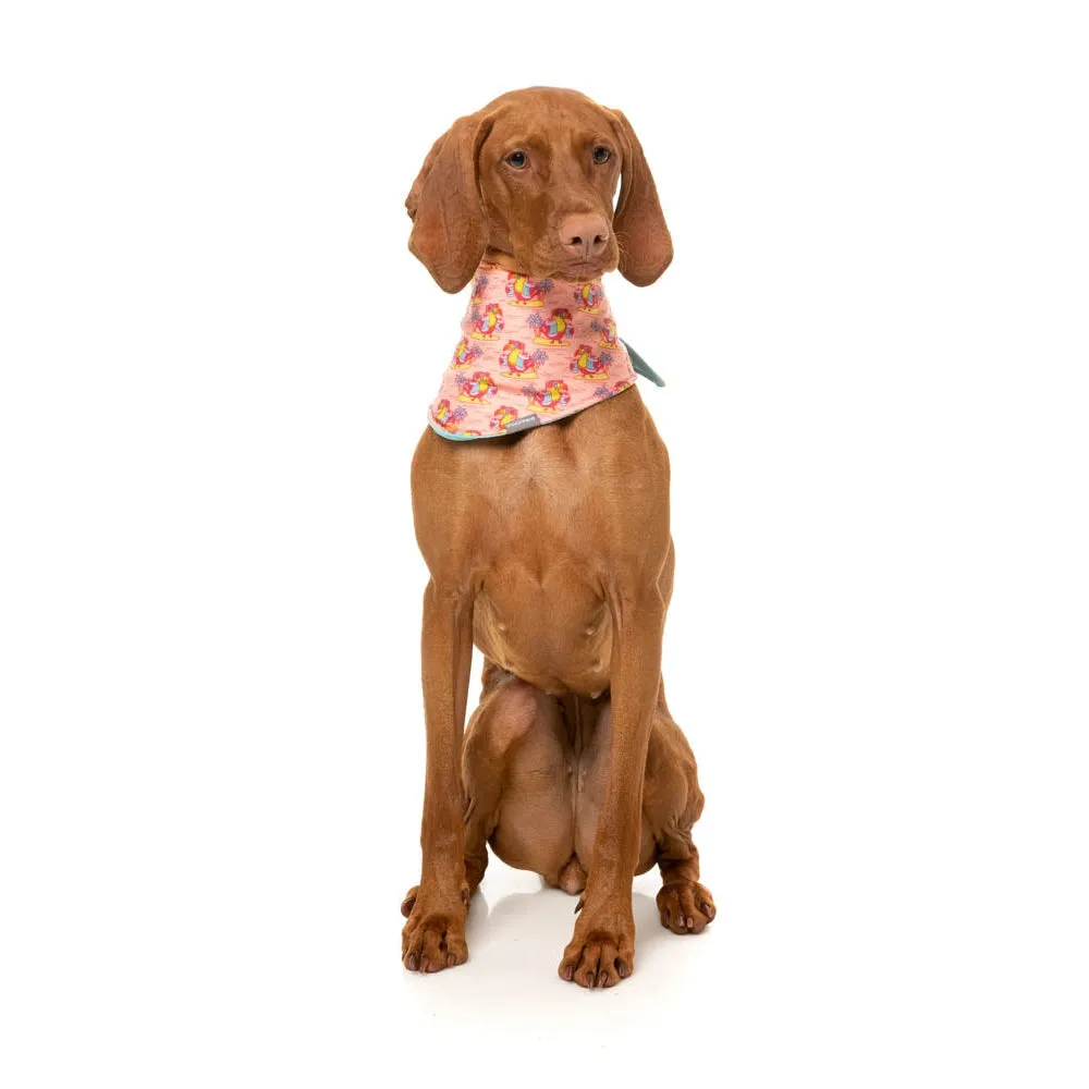 FuzzYard Cooling Bandana Two Cans Small Medium***