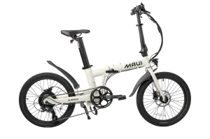 Summer Electric Lightweight Folding Bike